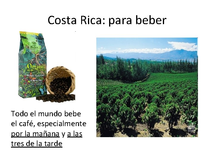 Costa Rica: para beber Todo el mundo bebe el café, especialmente por la mañana