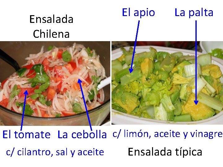 Ensalada Chilena El apio La palta El tomate La cebolla c/ limón, aceite y