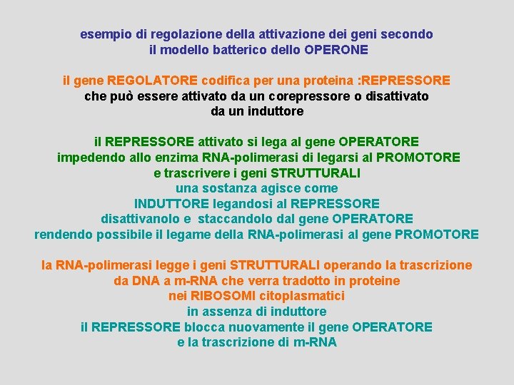 esempio di regolazione della attivazione dei geni secondo il modello batterico dello OPERONE il