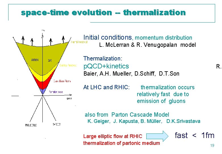 space-time evolution -- thermalization Initial conditions, momentum distribution L. Mc. Lerran & R. Venugopalan