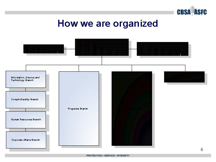 How we are organized President Chief of Staff Executive Vice-President Legal Services Information, Science