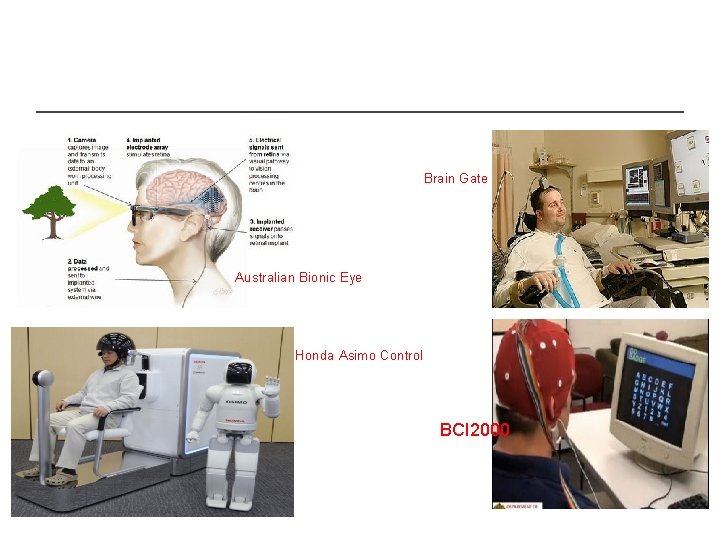 Brain Gate Australian Bionic Eye Honda Asimo Control BCI 2000 