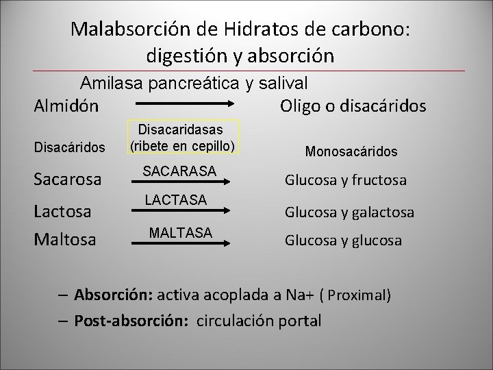 Malabsorción de Hidratos de carbono: digestión y absorción Amilasa pancreática y salival Almidón Disacáridos