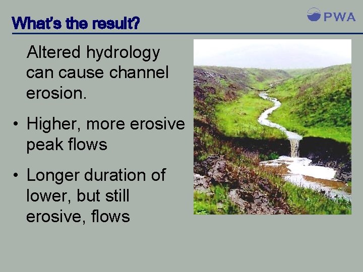 What’s the result? Altered hydrology can cause channel erosion. • Higher, more erosive peak