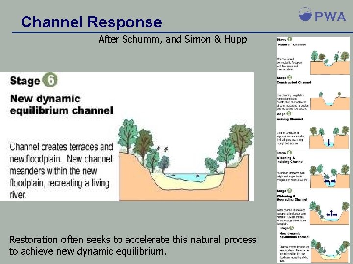 Channel Response After Schumm, and Simon & Hupp Restoration often seeks to accelerate this