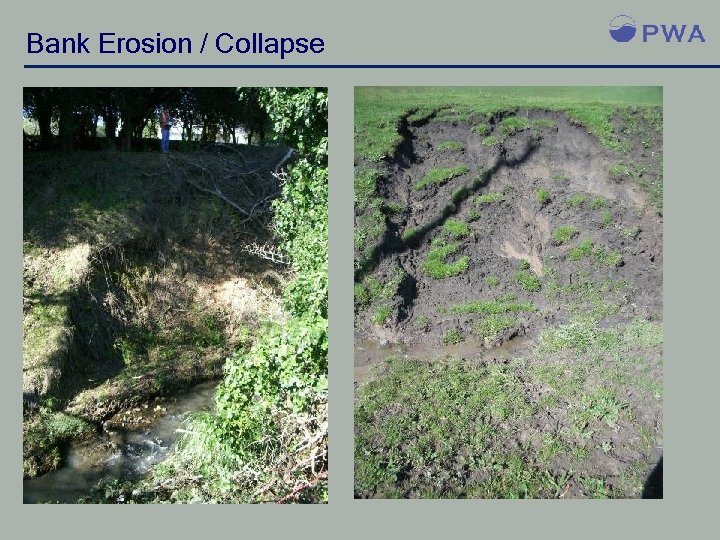 Bank Erosion / Collapse 