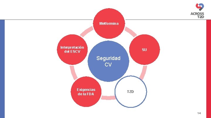 Metformina Interpretación del ESCV SU Seguridad CV Exigencias de la FDA TZD 14 Metformina Interpretación del ESCV SU Seguridad CV Exigencias de la FDA TZD 14