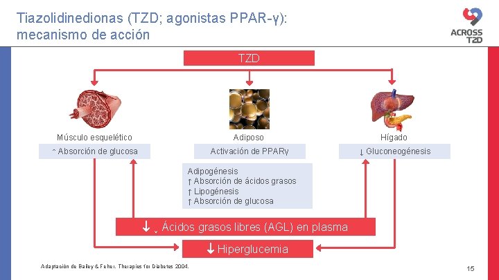 Tiazolidinedionas (TZD; agonistas PPAR-γ): mecanismo de acción TZD Músculo esquelético Adiposo Hígado ↑ Absorción