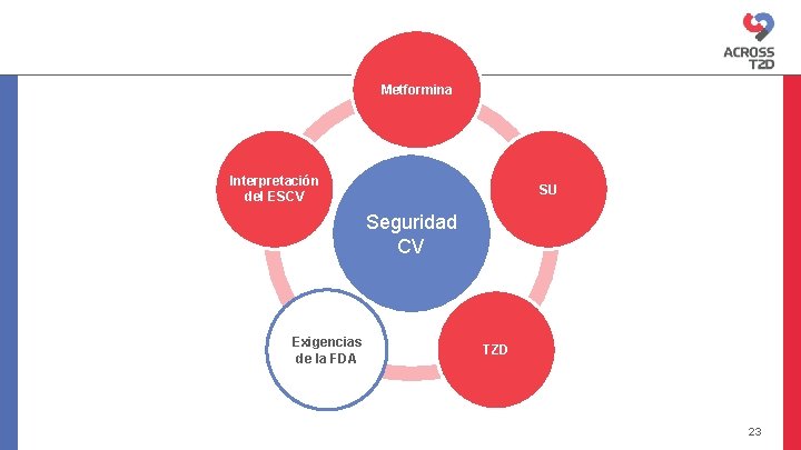 Metformina Interpretación del ESCV SU Seguridad CV Exigencias de la FDA TZD 23 