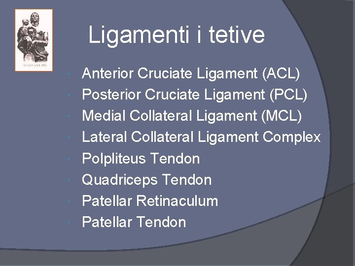 Ligamenti i tetive Anterior Cruciate Ligament (ACL) Posterior Cruciate Ligament (PCL) Medial Collateral Ligament