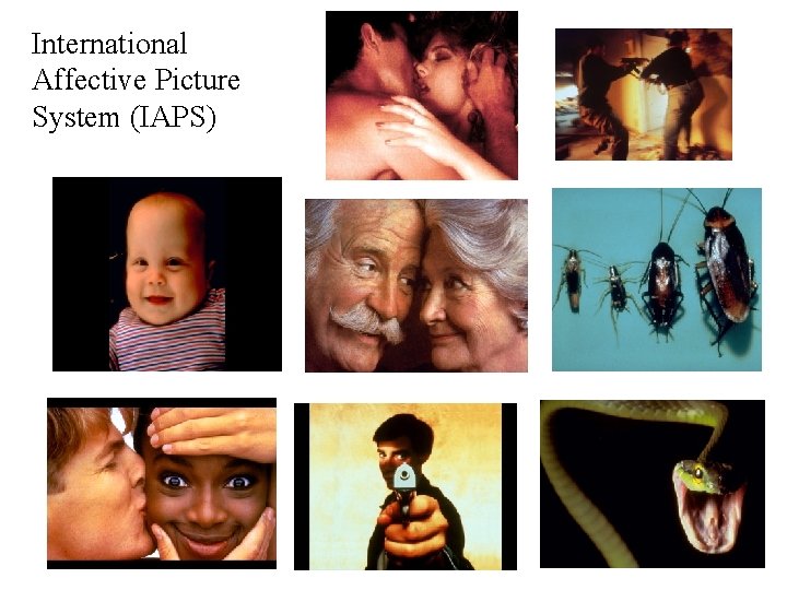 International Affective Picture System (IAPS) 