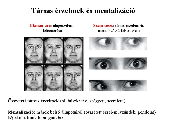 Társas érzelmek és mentalizáció Ekman-arc: alapérzelem felismerése Szem-teszt: társas érzelem és mentalizáció felismerése Összetett