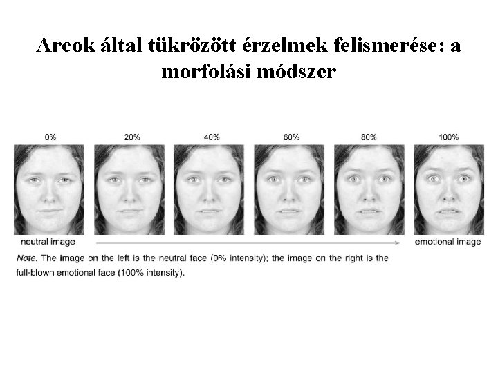 Arcok által tükrözött érzelmek felismerése: a morfolási módszer 