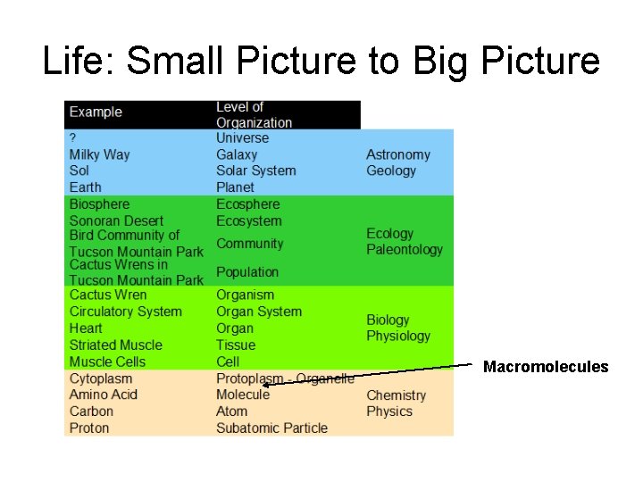 Life: Small Picture to Big Picture Macromolecules 