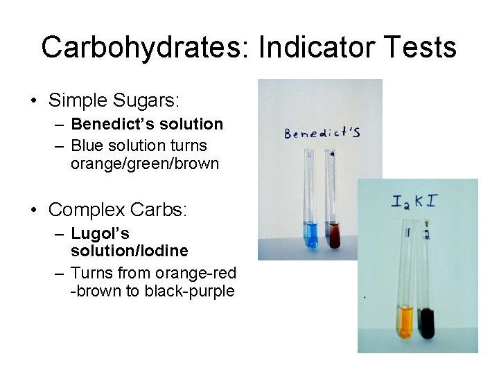 Carbohydrates: Indicator Tests • Simple Sugars: – Benedict’s solution – Blue solution turns orange/green/brown
