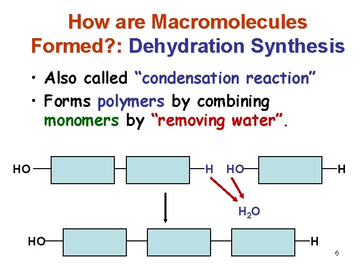 How are Macromolecules Formed? : Dehydration Synthesis • Also called “condensation reaction” • Forms