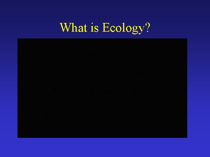 What is Ecology? 