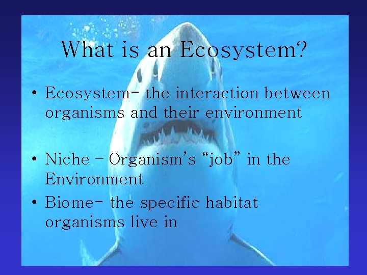 What is an Ecosystem? • Ecosystem- the interaction between organisms and their environment •