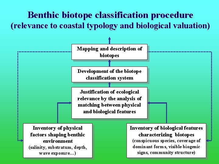 Benthic biotope classification procedure (relevance to coastal typology and biological valuation) Mapping and description