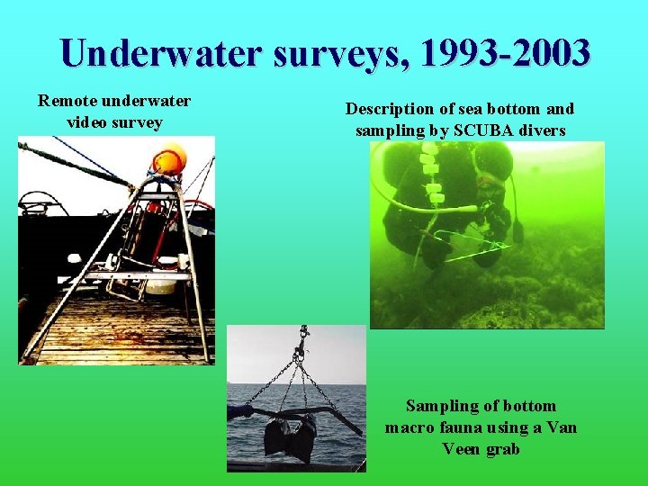 Underwater surveys, 1993 -2003 Remote underwater video survey Description of sea bottom and sampling