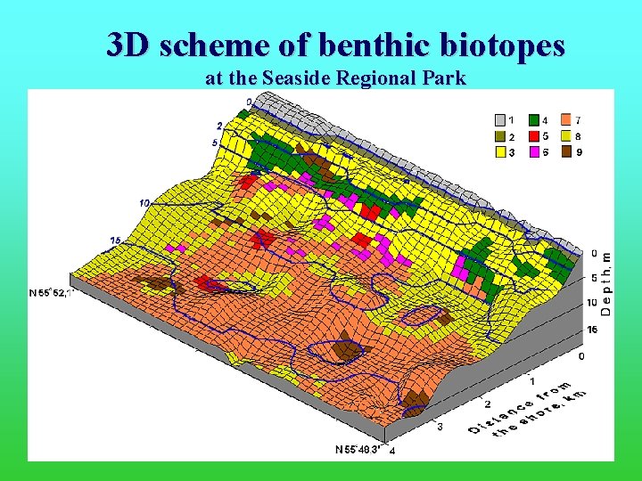 3 D scheme of benthic biotopes at the Seaside Regional Park 