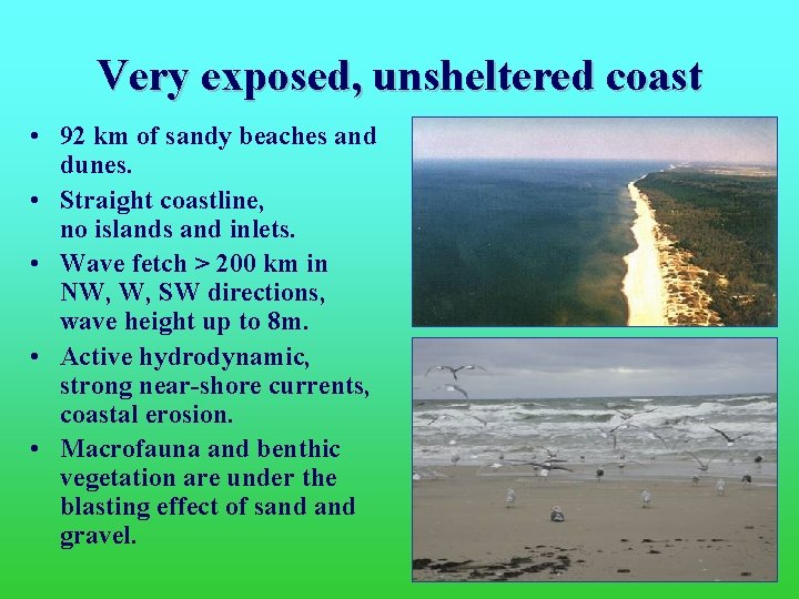 Very exposed, unsheltered coast • 92 km of sandy beaches and dunes. • Straight