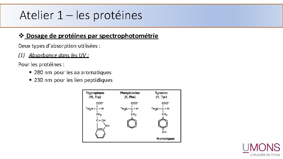 Atelier 1 – les protéines v Dosage de protéines par spectrophotométrie Deux types d’absorption