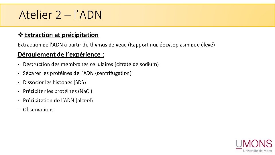 Atelier 2 – l’ADN v. Extraction et précipitation Extraction de l’ADN à partir du