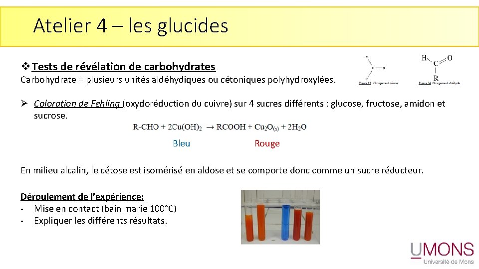 Atelier 4 – les glucides v. Tests de révélation de carbohydrates Carbohydrate = plusieurs
