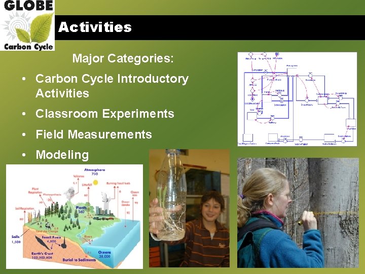 Activities Major Categories: • Carbon Cycle Introductory Activities • Classroom Experiments • Field Measurements