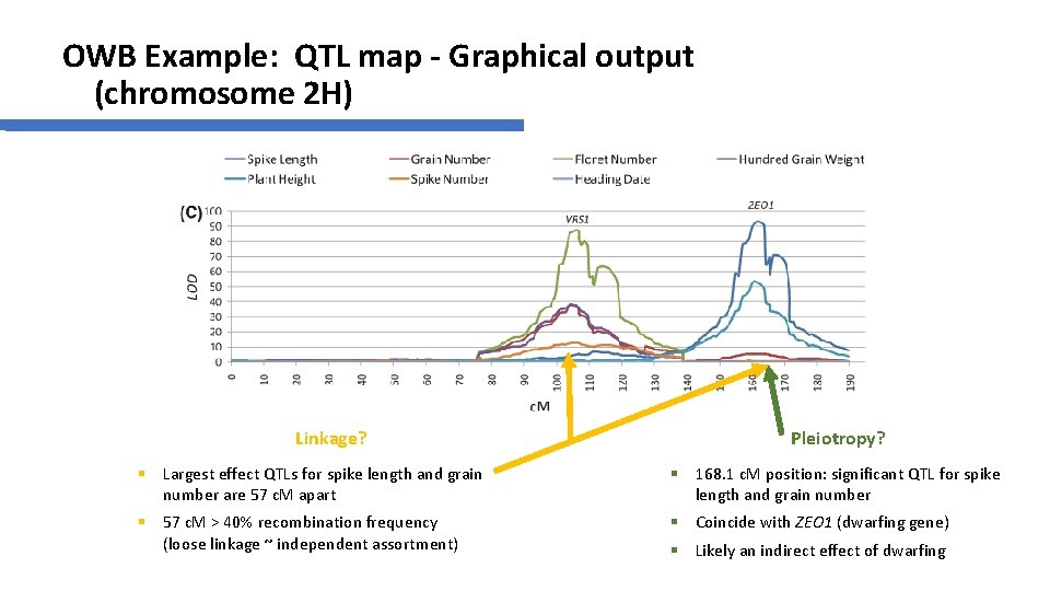 OWB Example: QTL map - Graphical output (chromosome 2 H) Linkage? Pleiotropy? § Largest