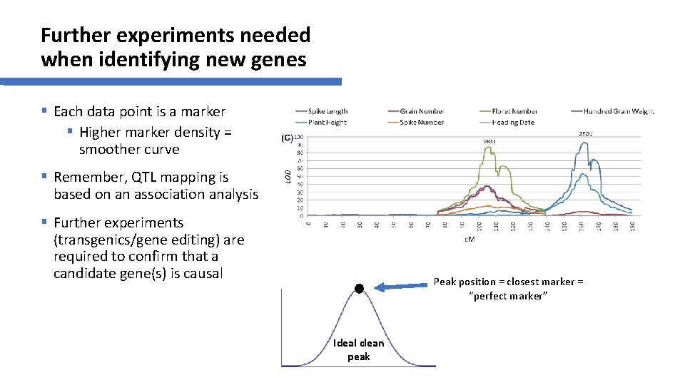 Further experiments needed when identifying new genes § Each data point is a marker