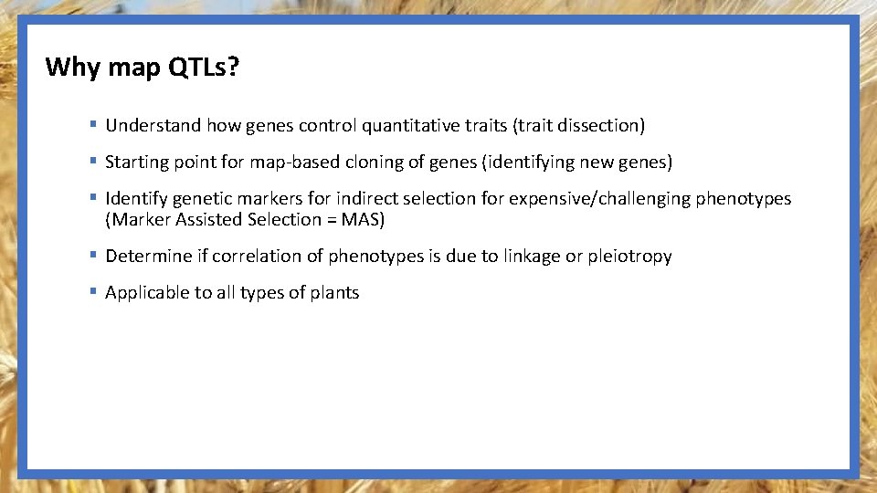 Why map QTLs? § Understand how genes control quantitative traits (trait dissection) § Starting