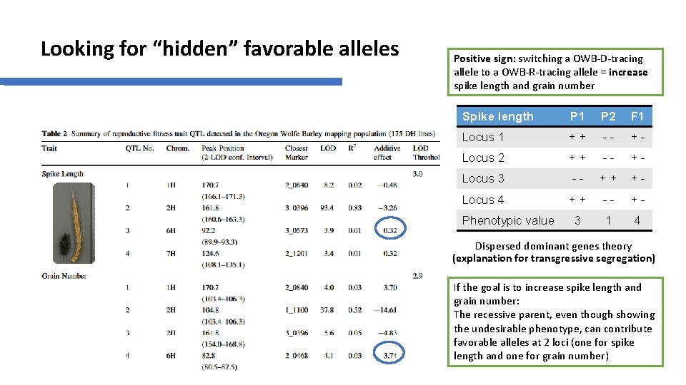 Looking for “hidden” favorable alleles Positive sign: switching a OWB-D-tracing allele to a OWB-R-tracing