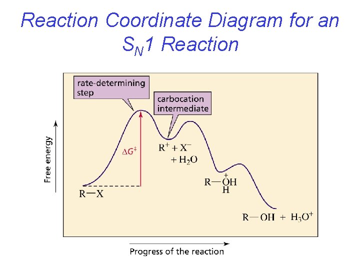 Reaction Coordinate Diagram for an SN 1 Reaction 