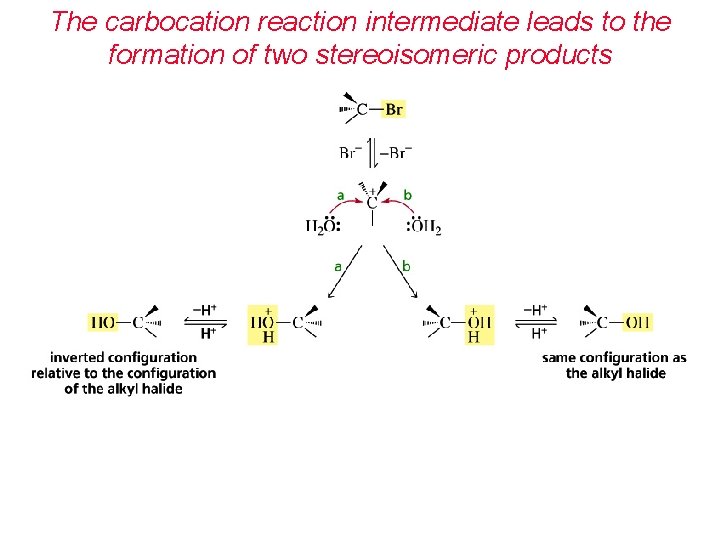 The carbocation reaction intermediate leads to the formation of two stereoisomeric products 