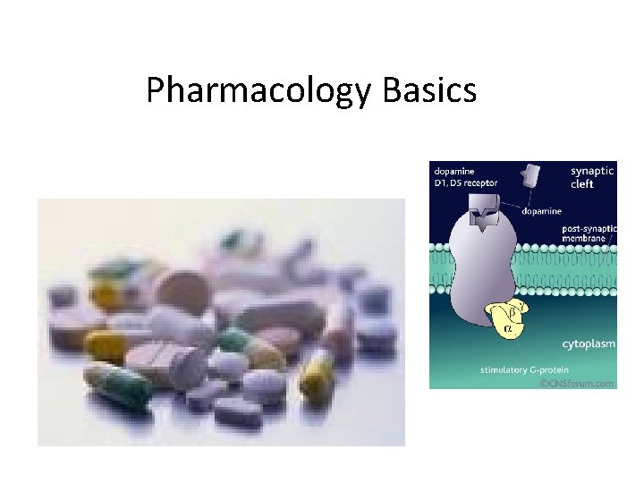 Pharmacology Basics Pharmacology Basics