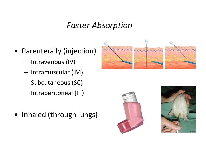 Faster Absorption • Parenterally (injection) – – Intravenous (IV) Intramuscular (IM) Subcutaneous (SC) Intraperitoneal Faster Absorption • Parenterally (injection) – – Intravenous (IV) Intramuscular (IM) Subcutaneous (SC) Intraperitoneal