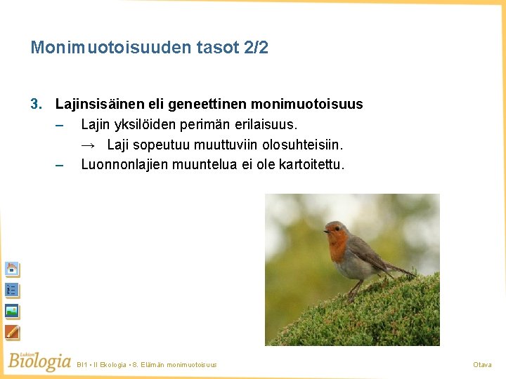 Monimuotoisuuden tasot 2/2 3. Lajinsisäinen eli geneettinen monimuotoisuus – Lajin yksilöiden perimän erilaisuus. →