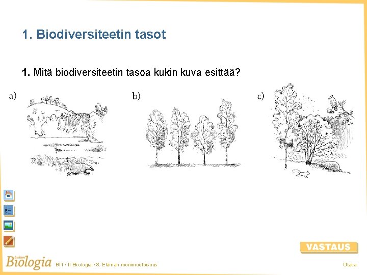 1. Biodiversiteetin tasot 1. Mitä biodiversiteetin tasoa kukin kuva esittää? BI 1 • II