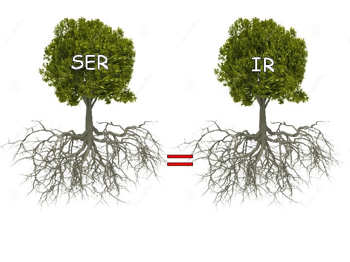 SER IR = 