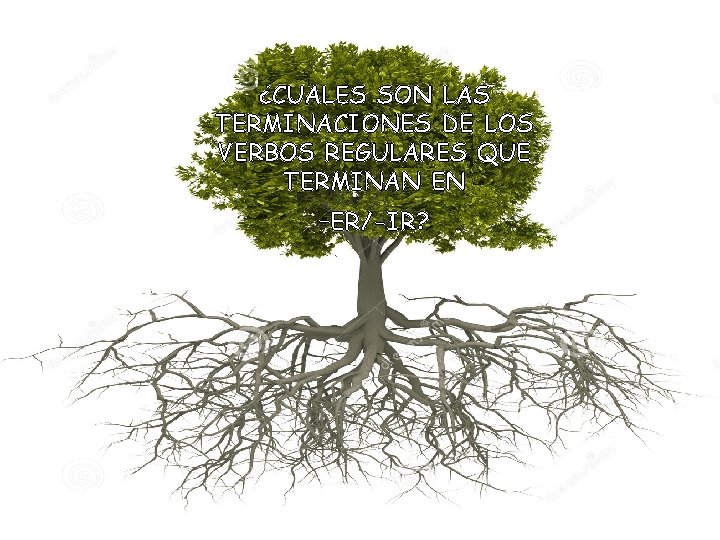 ¿CUALES SON LAS TERMINACIONES DE LOS VERBOS REGULARES QUE TERMINAN EN –ER/-IR? 