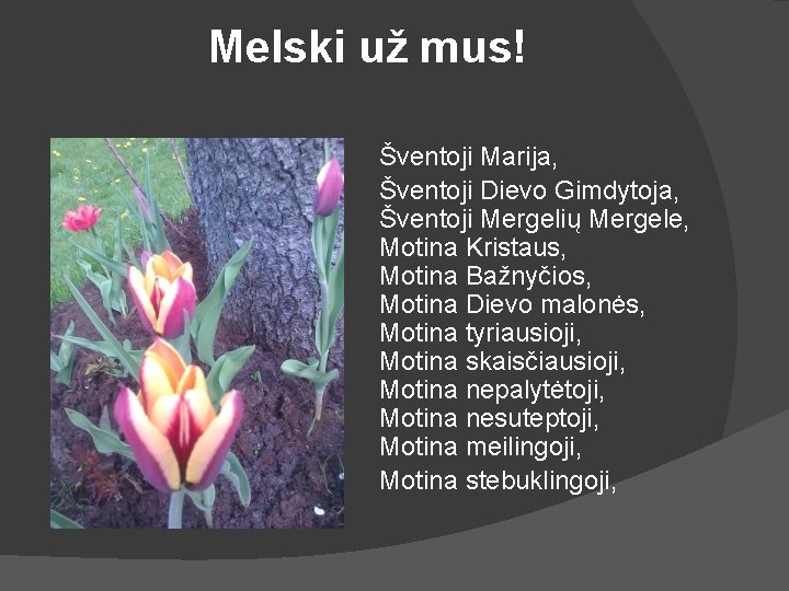  Melski už mus! Šventoji Marija, Šventoji Dievo Gimdytoja, Šventoji Mergelių Mergele, Motina Kristaus,