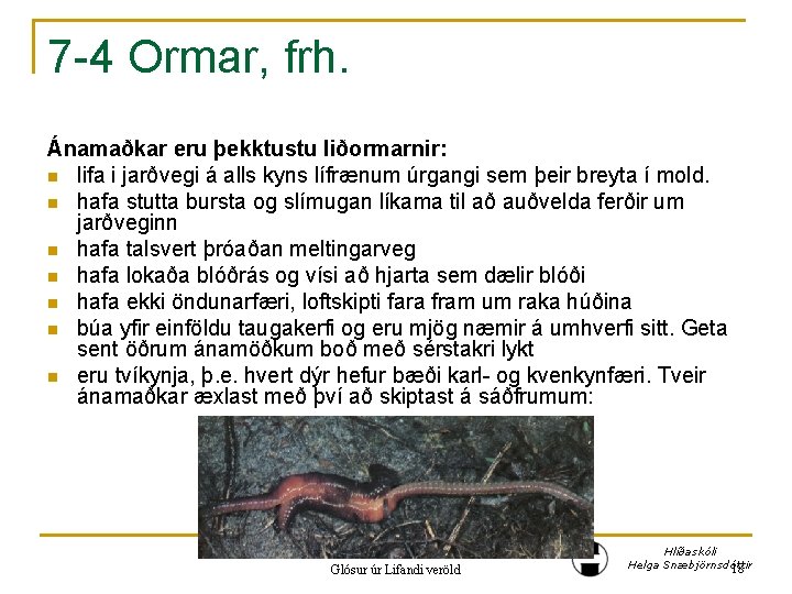 7 -4 Ormar, frh. Ánamaðkar eru þekktustu liðormarnir: n lifa i jarðvegi á alls