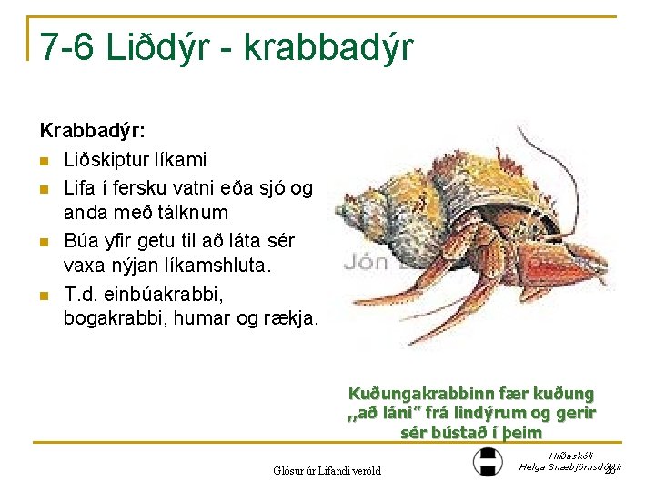 7 -6 Liðdýr - krabbadýr Krabbadýr: n Liðskiptur líkami n Lifa í fersku vatni