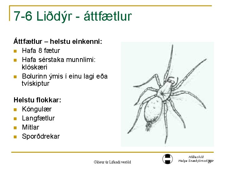 7 -6 Liðdýr - áttfætlur Áttfætlur – helstu einkenni: n Hafa 8 fætur n