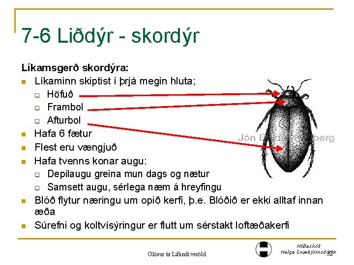 7 -6 Liðdýr - skordýr Líkamsgerð skordýra: n Líkaminn skiptist í þrjá megin hluta;