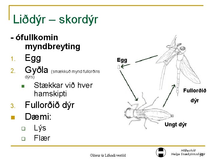 Liðdýr – skordýr - ófullkomin myndbreyting 1. 2. Egg Gyðla (smækkuð mynd fullorðins Egg