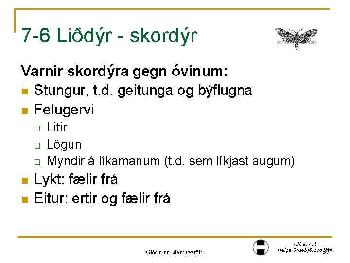 7 -6 Liðdýr - skordýr Varnir skordýra gegn óvinum: n Stungur, t. d. geitunga