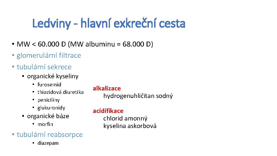 Ledviny - hlavní exkreční cesta • MW < 60. 000 D (MW albuminu =